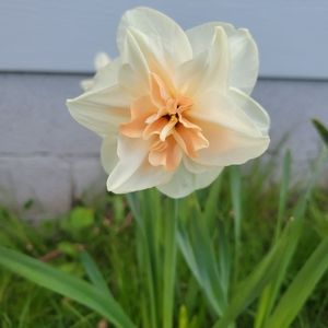 Meet your Posher, Bianca